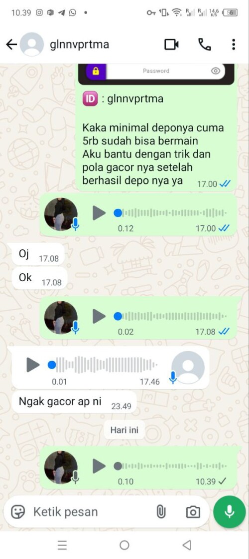 glnnvprtma.jpeg