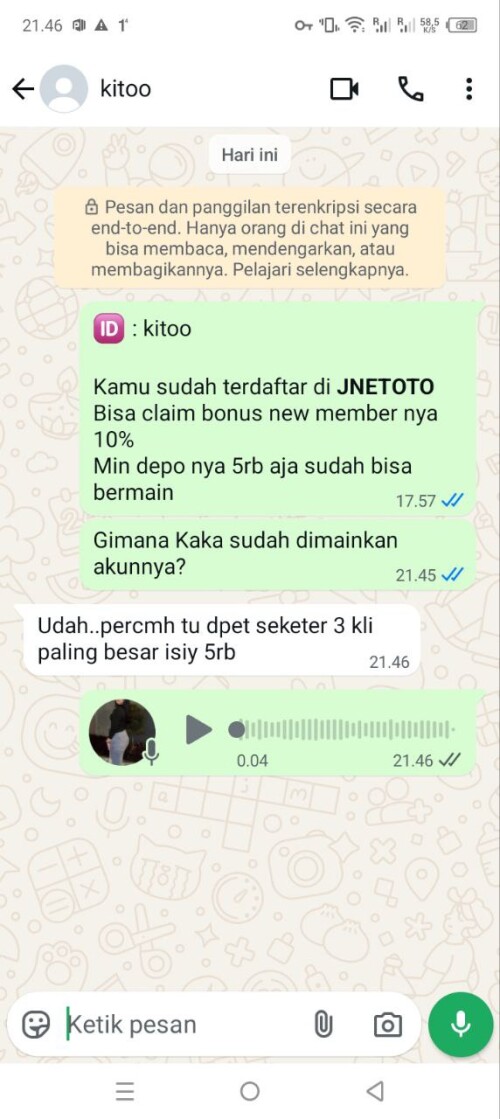 kitoo.jpeg