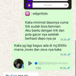 edypritoto