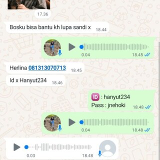 hanyut234