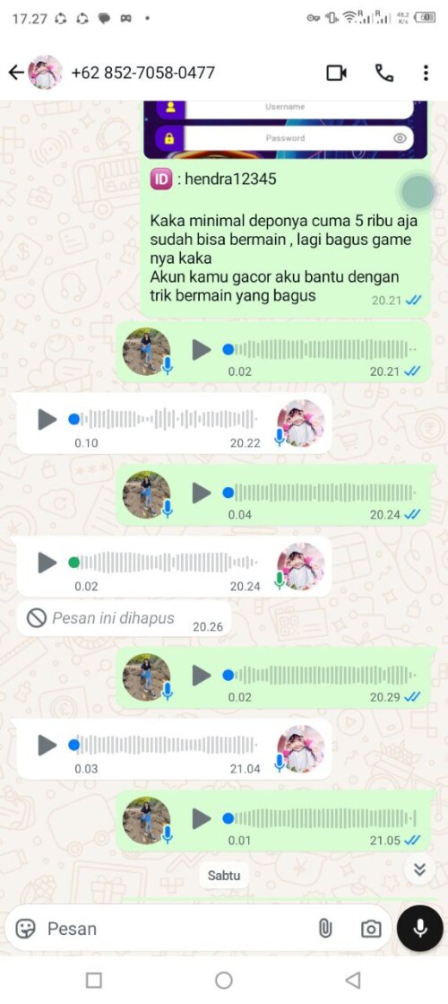 hendra12345.jpeg