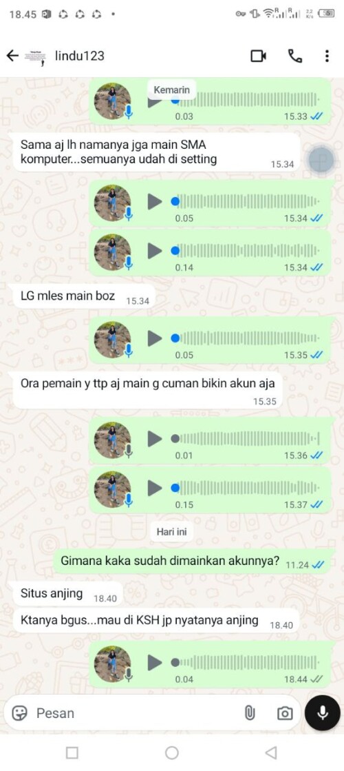 lindu123.jpeg