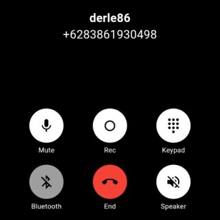 derle86