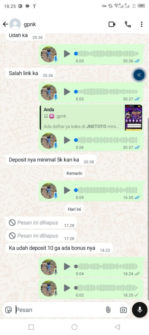 gpnk.jpeg