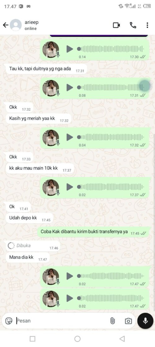arieep.jpeg