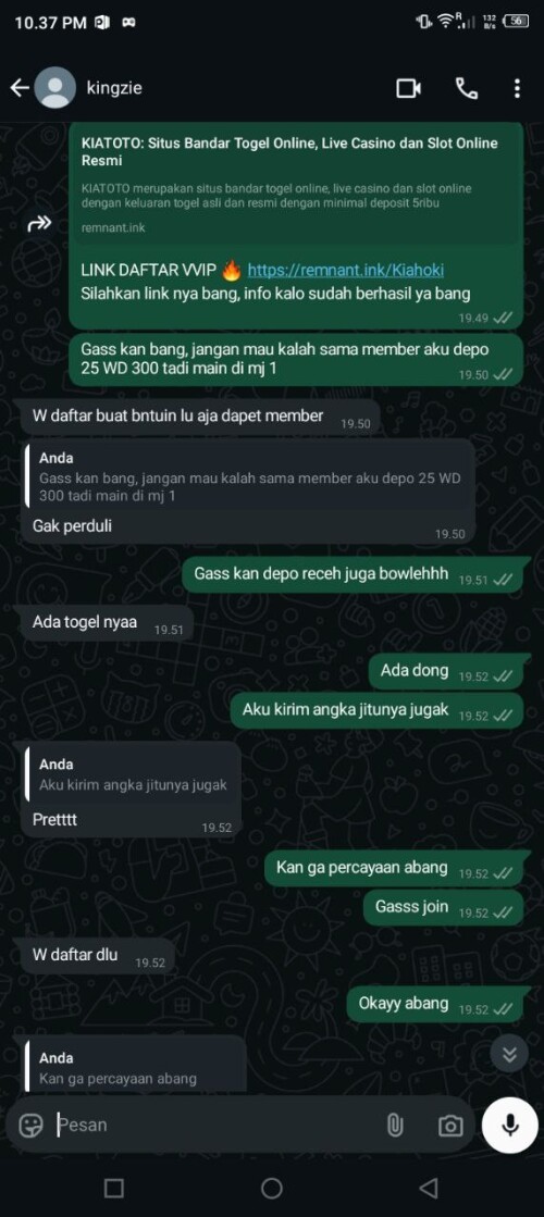 kingzie.jpeg