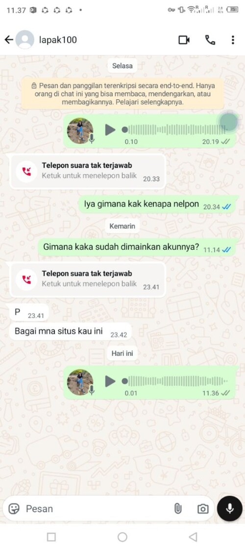 lapak100.jpeg