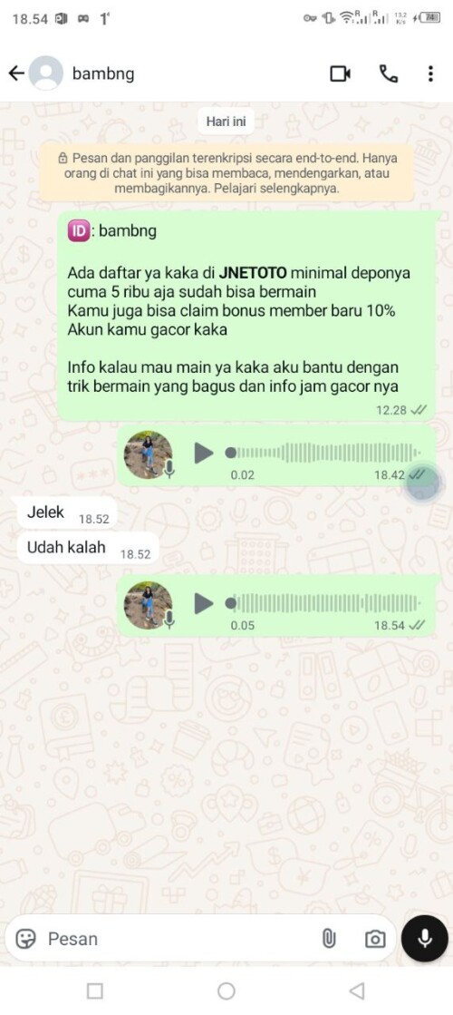 bambng.jpeg
