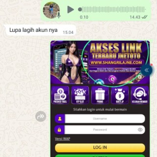 abuy333