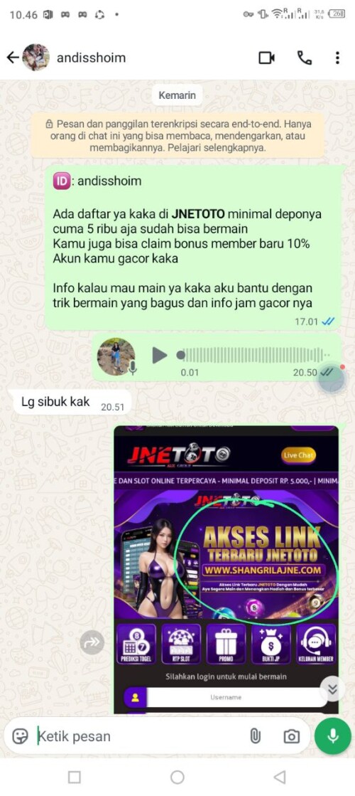 andisshoim.jpeg