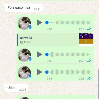 arinur86