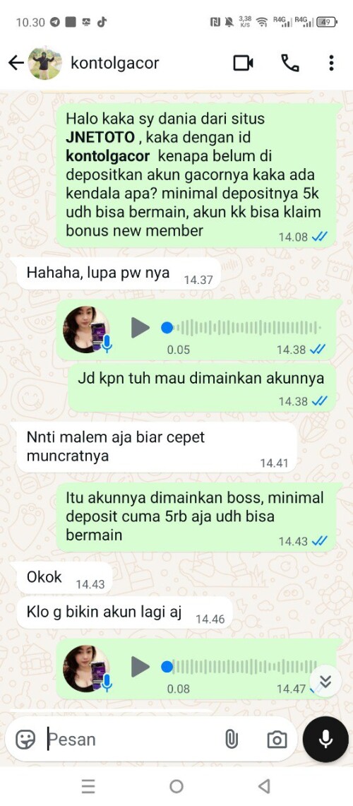 kontolgacor.jpeg