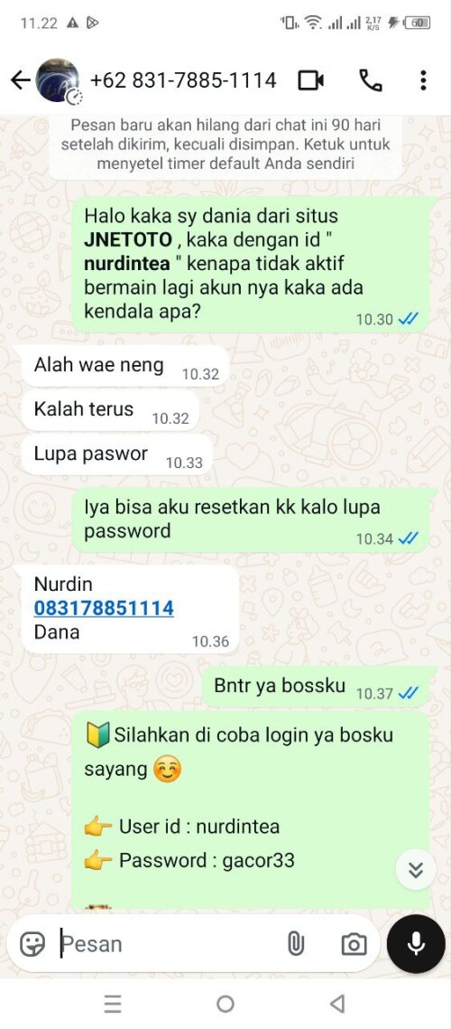 nurdintea.jpeg
