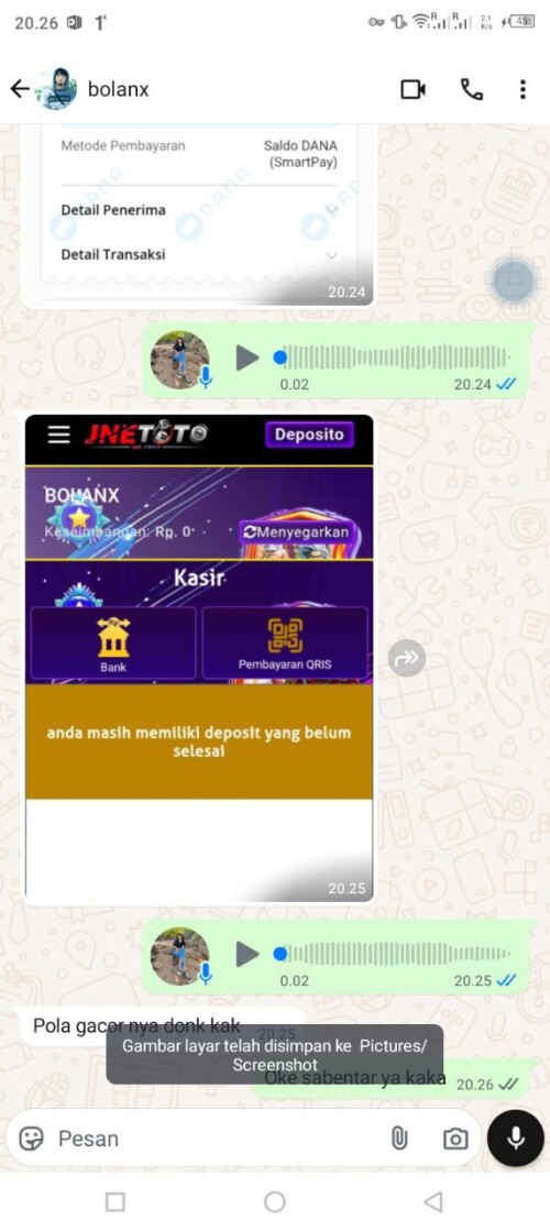 bolanx.jpeg