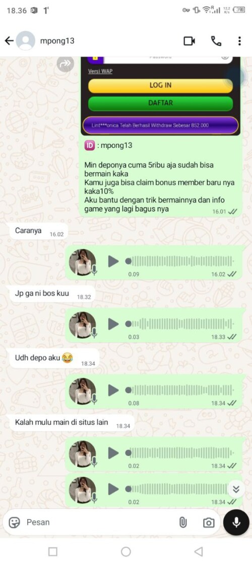 mpong13.jpeg