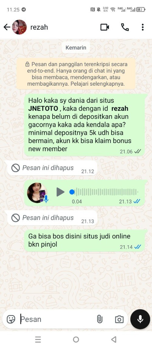 rezah.jpeg