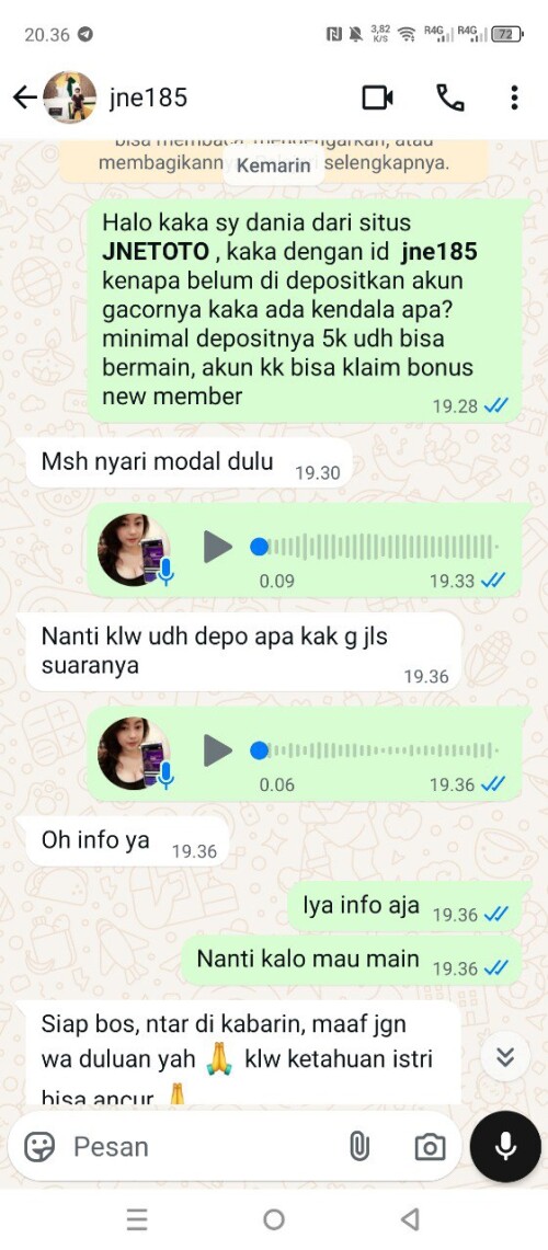 jne185.jpeg