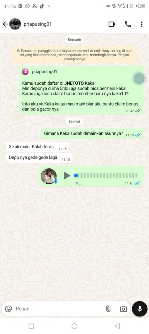 priapusing01.jpeg