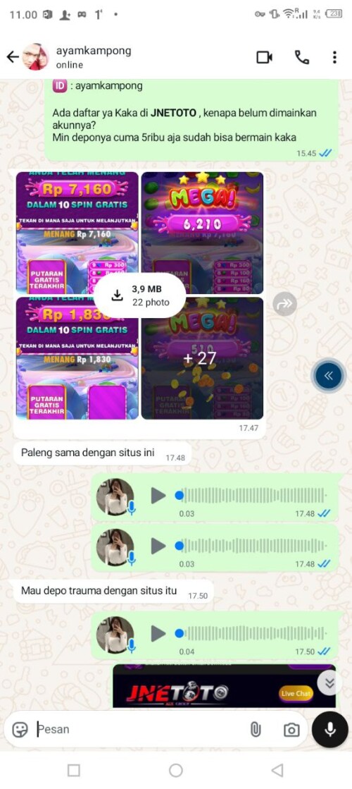 ayamkampong.jpeg