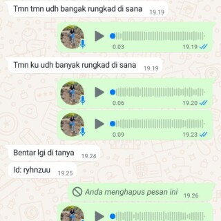 fangacor