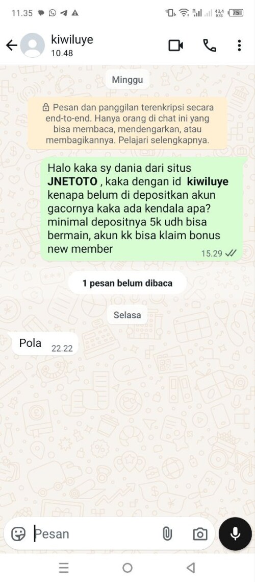 kiwiluye.jpeg