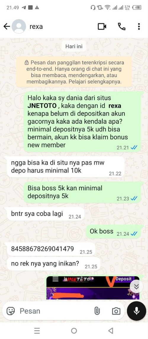 rexa.jpeg