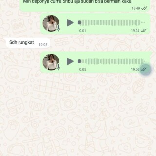 nasrudin2233