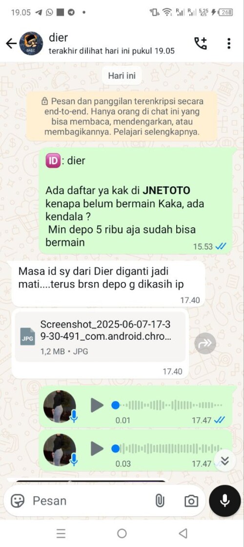 dier.jpeg