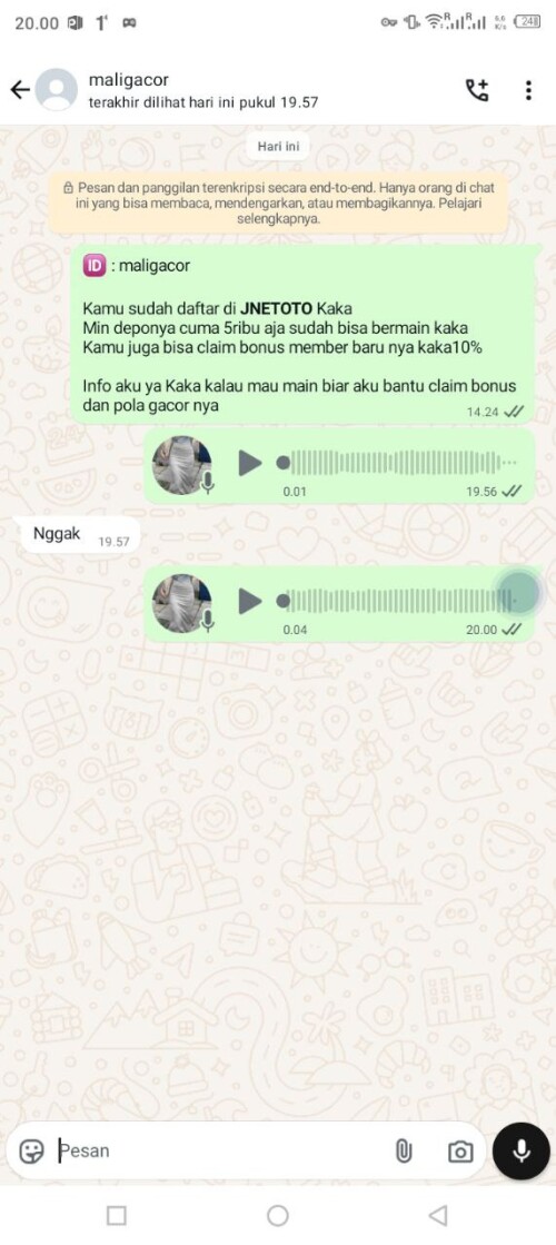 maligacor.jpeg