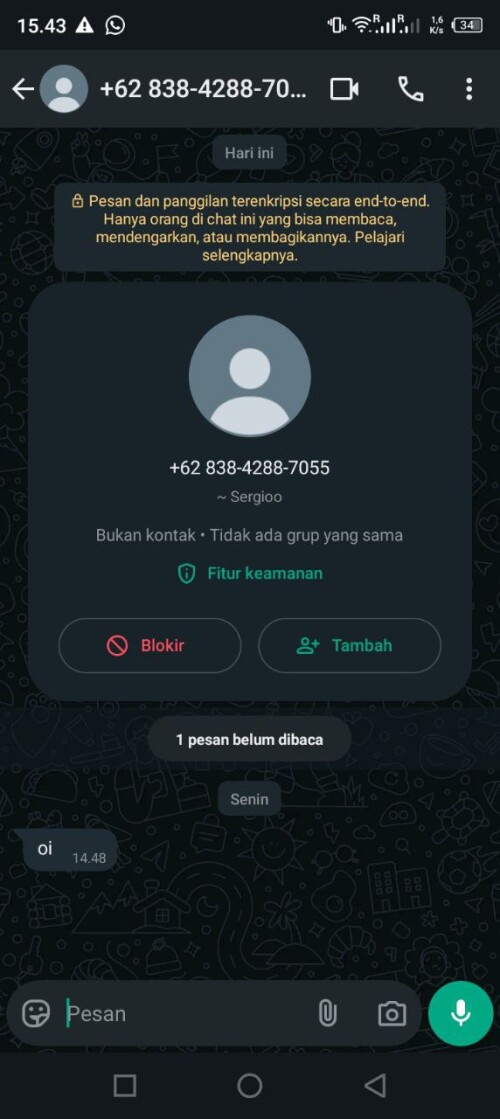 bujangpilat.jpeg