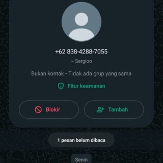 bujangpilat