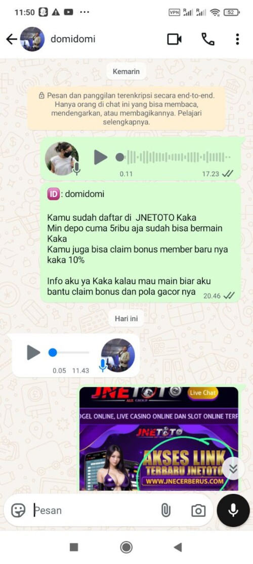 domidomi.jpeg