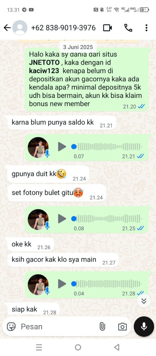 kaciw123.jpeg
