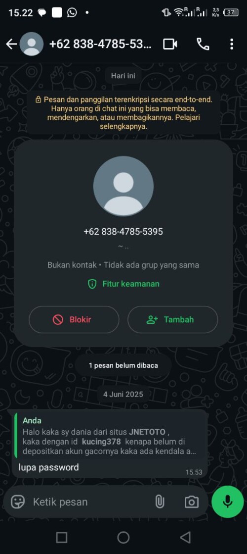 kucing378.jpeg