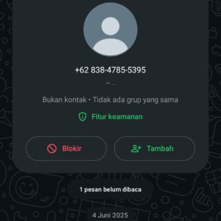 kucing378