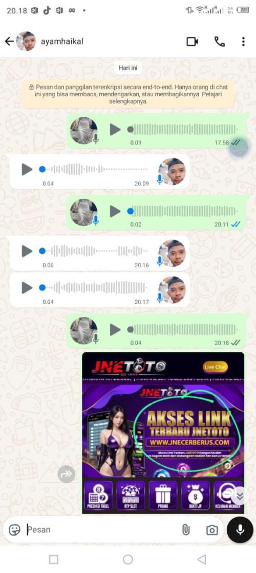 ayamhaikal.jpeg