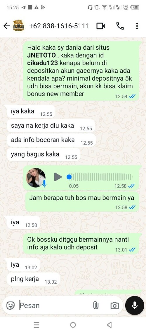 cikadu123.jpeg