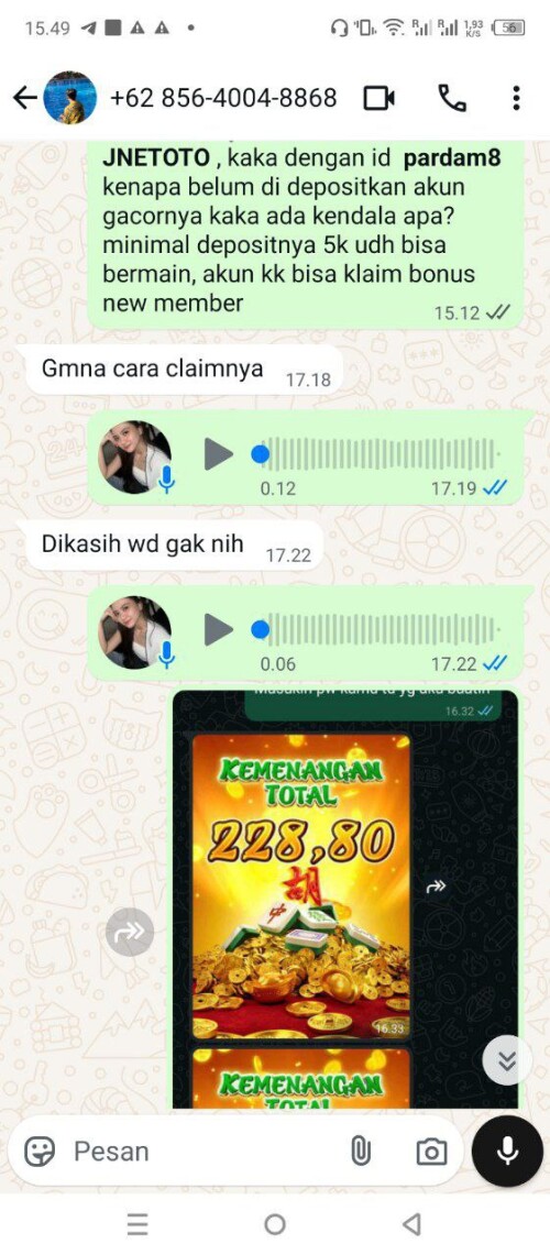 pardam8.jpeg