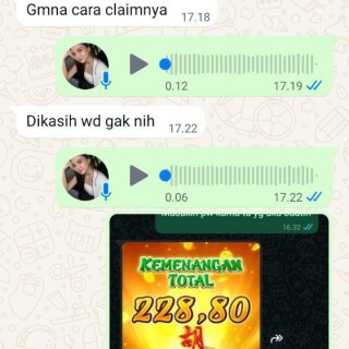 pardam8