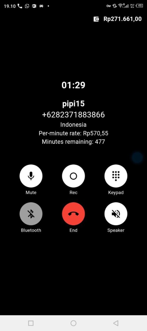 pipi15.jpeg