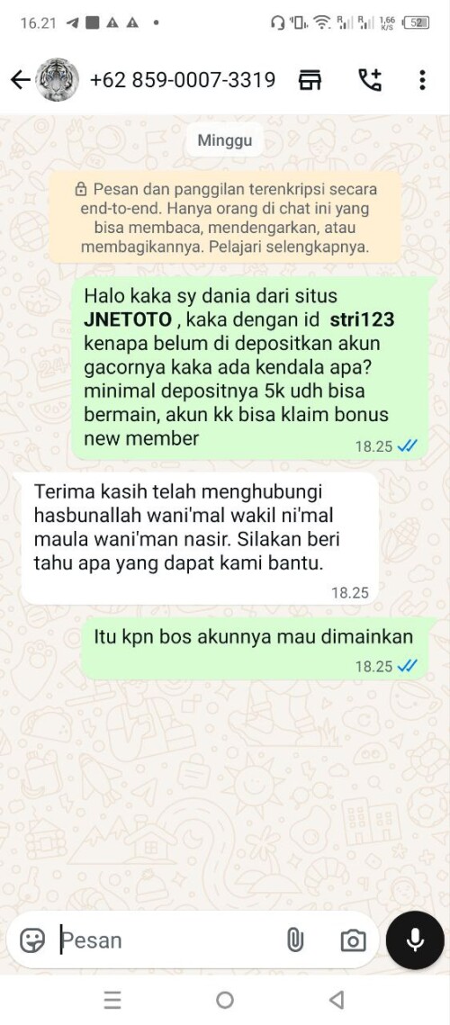 stri123.jpeg