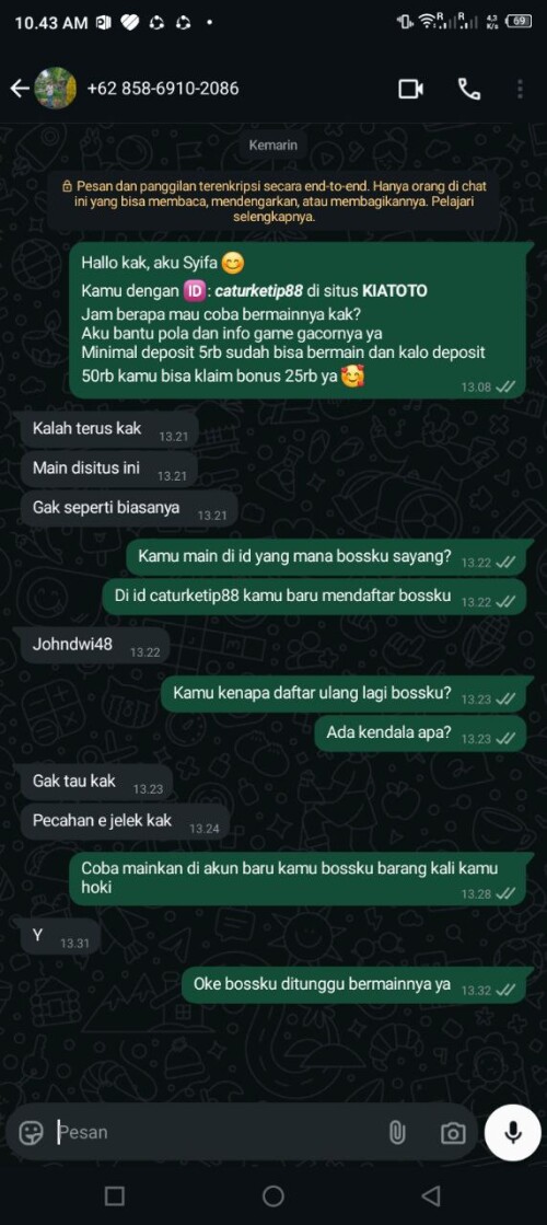 caturketip88.jpeg