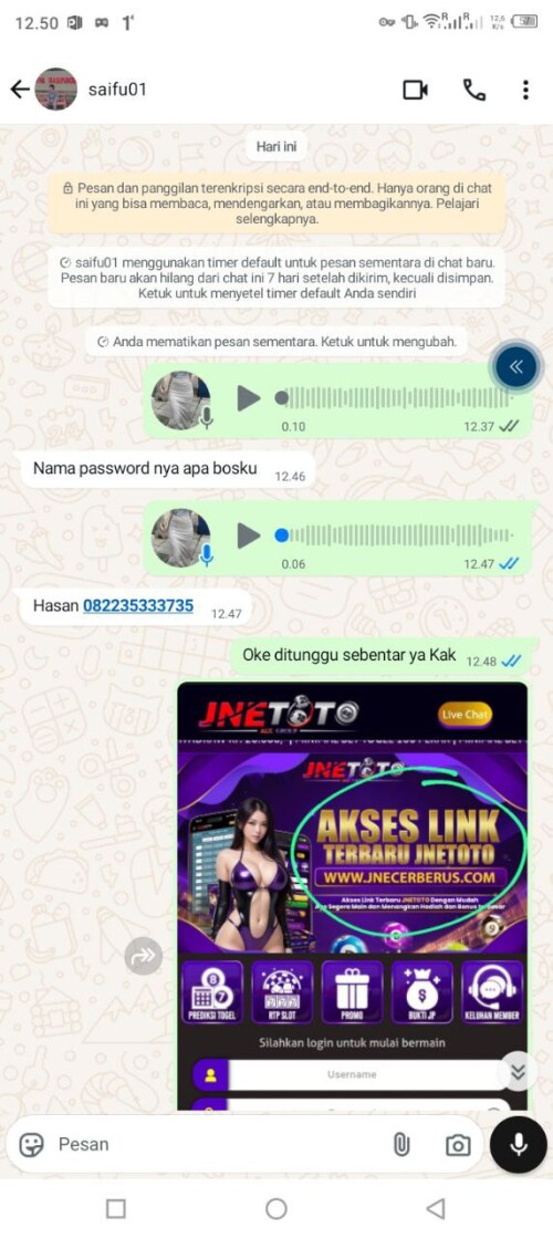 saifu01.jpeg