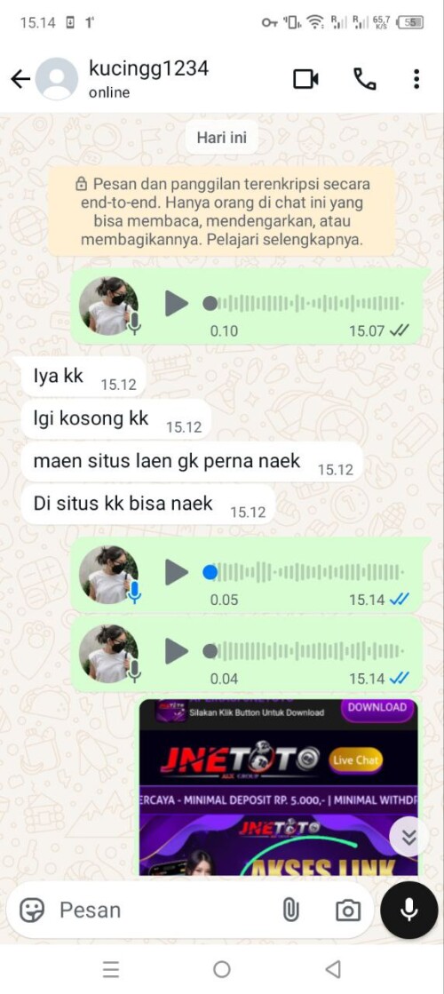 kucingg1234.jpeg