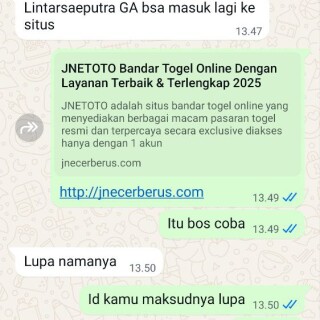 lintarsaeput