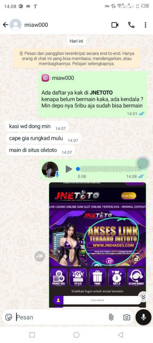 miaw000.jpeg