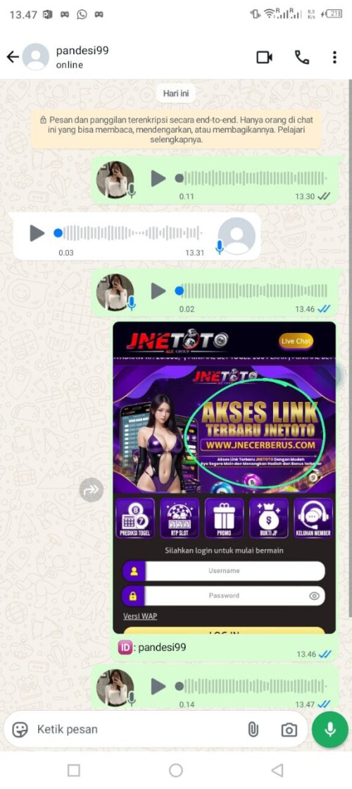 pandesi99.jpeg