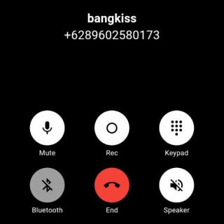 bangkiss