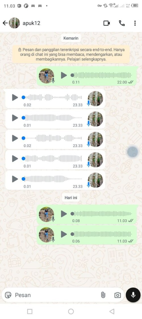 apuk12