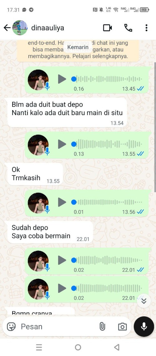 dinaauliya